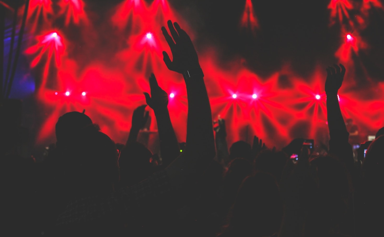 Exploring the Local Live Music Scene